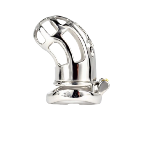 chastity cage