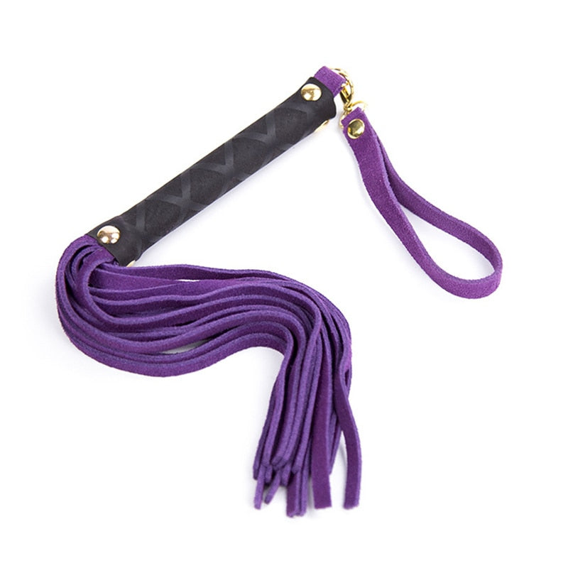 BDSM whip